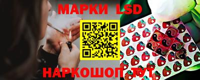 ПСИЛОЦИБИНОВЫЕ ГРИБЫ Новокубанск