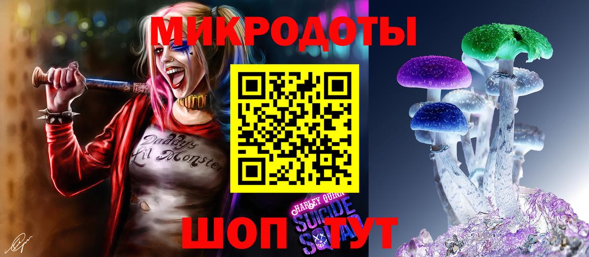 Галлюциногенные грибы Psilocybine cubensis  Вход с VPN  Норильск 